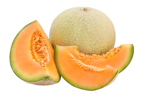 Melón